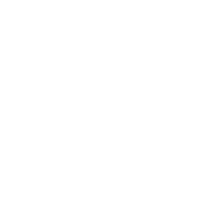 CASE SUBMISSION ICON CASE SUBMISSION ICON