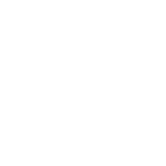 ETHAN SHOTZ ICON
